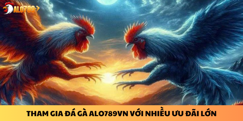 Đá Gà ALO789 - Trải Nghiệm Cá Cược Đỉnh Cao Với Đá Gà Thomo 2025 3 Tham gia đá gà ALO789 với nhiều ưu đãi lớn