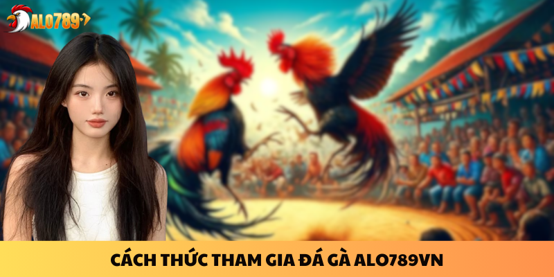 Đá Gà ALO789 - Trải Nghiệm Cá Cược Đỉnh Cao Với Đá Gà Thomo 2025 4 Cách thức tham gia đá gà ALO789