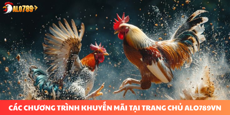 ALO789⚡️Đánh Giá Nhà Cái Cá Cược Đá Gà Uy Tín Nhất Việt Nam 2025 21 Ưu đãi hấp dẫn cho người chơi mới